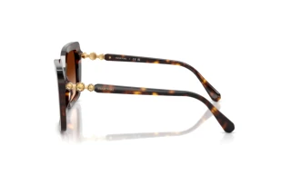 Vue latérale Swarovski SK6049 (100274)