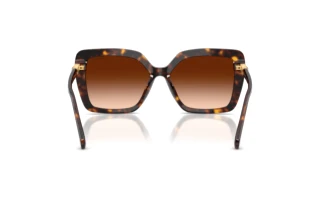 Vue arrière Swarovski SK6049 (100274)