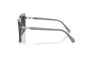 Vue latérale Swarovski SK6049 (106211)