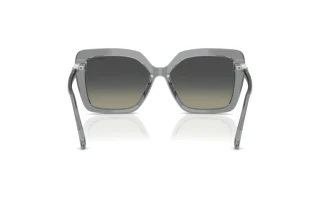 Vue arrière Swarovski SK6049 (106211)