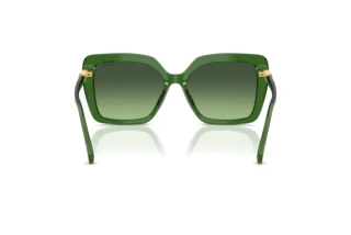 Vue arrière Swarovski SK6049 (10812A)