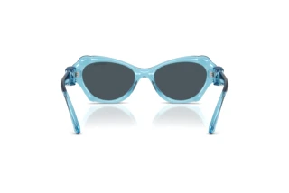 Vue arrière Swarovski SK6050 (107887)