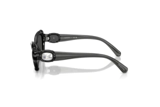 Vue latérale Swarovski SK6050 (108787)