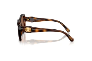 Vue latérale Swarovski SK6051U (100273)