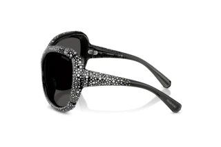 Vue latérale Swarovski SK6052 (108787)