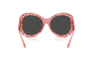 Vue arrière Swarovski SK6052 (108887)