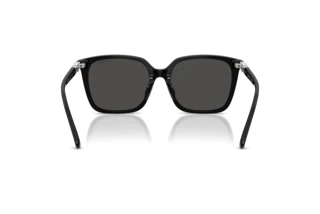 Vue arrière Swarovski SK6053D (103887)