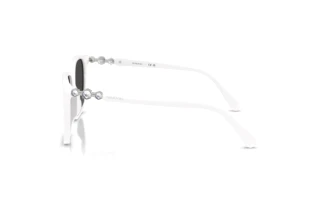 Vue latérale Swarovski SK6053D (105087)