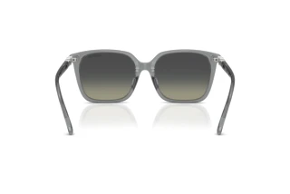 Vue arrière Swarovski SK6053D (106211)