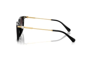 Vue latérale Swarovski SK6054D (10018G)