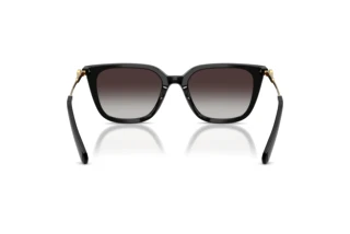 Vue arrière Swarovski SK6054D (10018G)