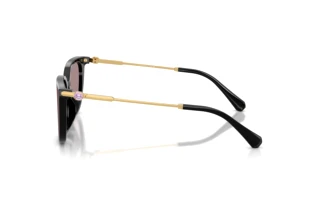 Vue latérale Swarovski SK6054D (1001LA)