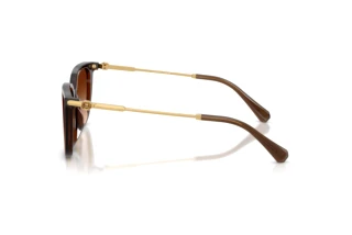 Vue latérale Swarovski SK6054D (108474)