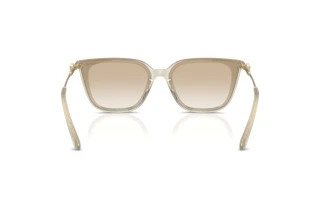 Vue arrière Swarovski SK6054D (300311)