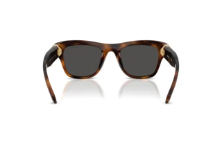 Vue arrière Swarovski SK6056U (100287)