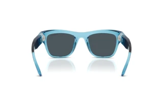 Vue arrière Swarovski SK6056U (107887)