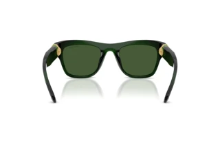 Vue arrière Swarovski SK6056U (108171)