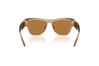 Vue arrière Swarovski SK6056U (109273)