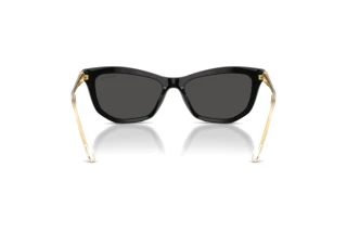 Vue arrière Swarovski SK6057 (100187)