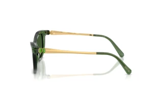 Vue latérale Swarovski SK6057 (108571)