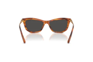 Vue arrière Swarovski SK6057 (109187)