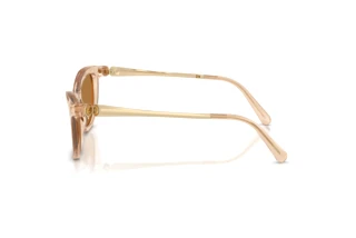 Vue latérale Swarovski SK6057 (109273)