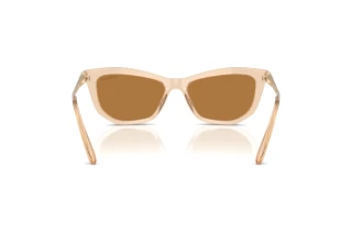 Vue arrière Swarovski SK6057 (109273)