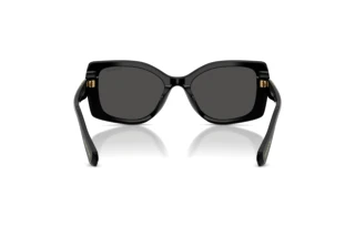 Vue arrière Swarovski SK6058U (100187)