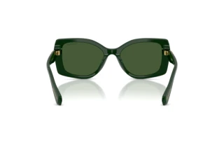 Vue arrière Swarovski SK6058U (102671)