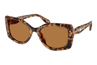 Vue de face Swarovski SK6058U (104073)