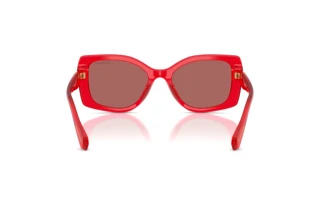 Vue arrière Swarovski SK6058U (110369)