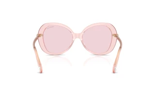 Vue arrière Swarovski SK6059 (1070P5)