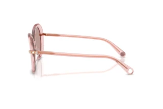 Vue latérale Swarovski SK6059 (10977N)