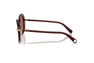 Vue latérale Swarovski SK6059 (109869)