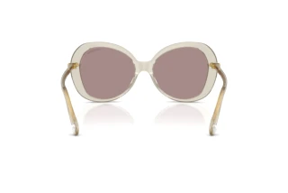 Vue arrière Swarovski SK6059 (3003LA)