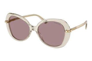 Vue de face Swarovski SK6059 (3003LA)