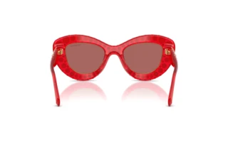 Vue arrière Swarovski SK6060 (110369)