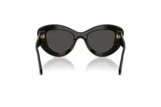 Vue arrière Swarovski SK6060 (110487)