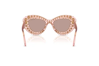 Vue arrière Swarovski SK6060 (30017N)