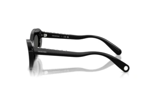 Vue latérale Swarovski SK6061U (100187)