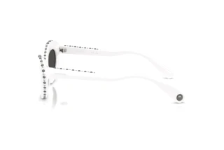 Vue latérale Swarovski SK6061U (105087)
