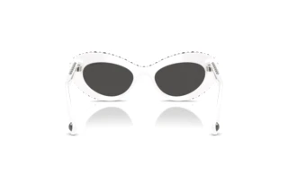 Vue arrière Swarovski SK6061U (105087)