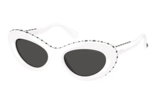 Vue de face Swarovski SK6061U (105087)