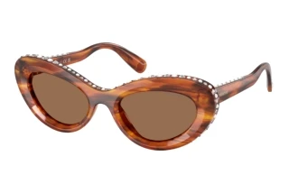 Vue de face Swarovski SK6061U (109173)