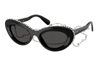 Vue de face Swarovski SK6061U (110687)