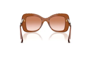 Vue arrière Swarovski SK6062U (109573)