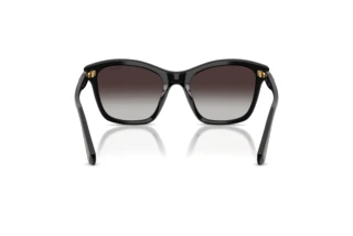 Vue arrière Swarovski SK6063 (10018G)