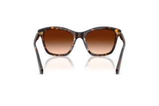 Vue arrière Swarovski SK6063 (100274)