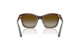 Vue arrière Swarovski SK6063 (1002T5)