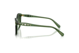 Vue latérale Swarovski SK6063 (10852A)